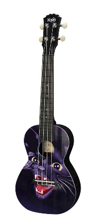 PUC 30 001 PUC 30 001