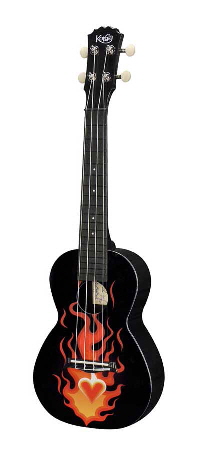 PUC 30 010 PUC 30 010