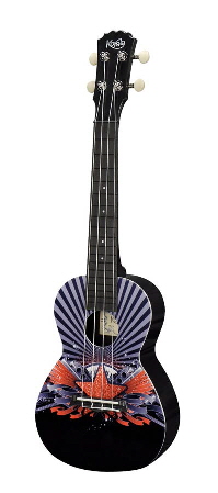 PUC 30 011 PUC 30 011