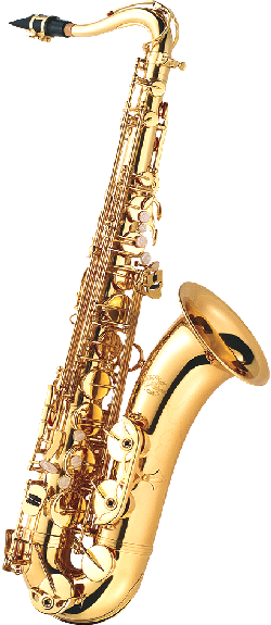 Tenor Saxphone TN-900