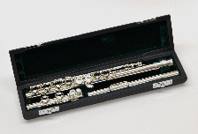 Wooden carrying case