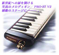 pro37-2